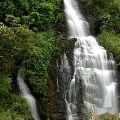 业绩补偿难收回，金安国纪收关注函，去年三季报净利大幅下滑